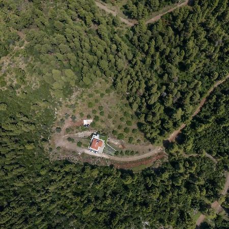 Dream House Capturing The Magic Of Nature Vlachia Exterior photo