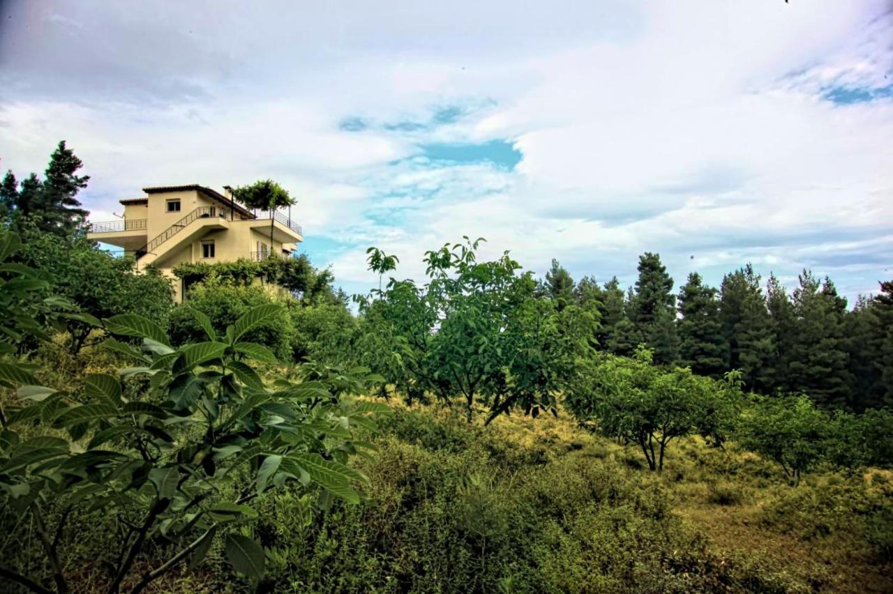 Dream House Capturing The Magic Of Nature Vlachia Exterior photo