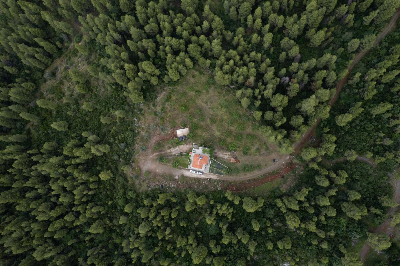 Dream House Capturing The Magic Of Nature Vlachia Exterior photo